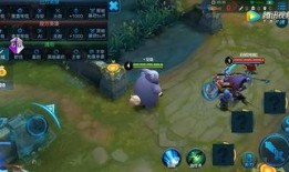 王者最新爆料猫萌,王者峡谷萌宠来袭，萌动你的心弦！