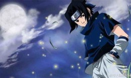 忍界佐助爆料视频合集,揭秘宇智波家族秘密与忍者世界风云