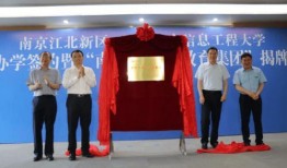 恒申集团爆料最新消息,揭秘企业变革背后的秘密